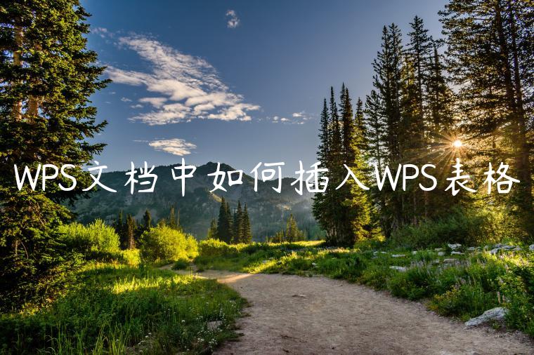 WPS文档中如何插入WPS表格