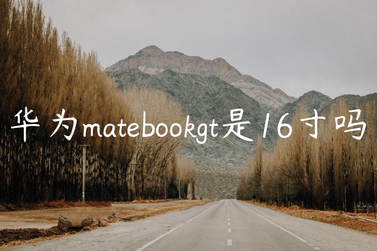 华为matebookgt是16寸吗