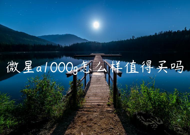 微星a1000g怎么样值得买吗