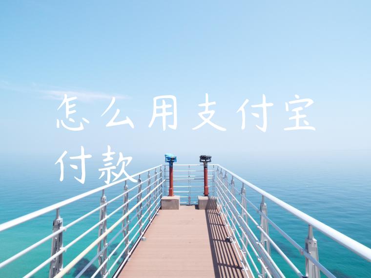 怎么用支付宝付款