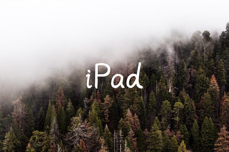 iPad