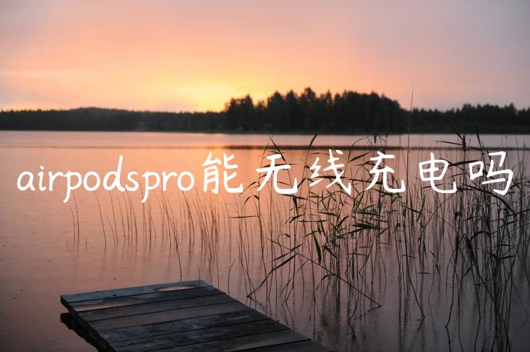 airpodspro能无线充电吗