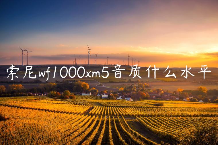 索尼wf1000xm5音质什么水平