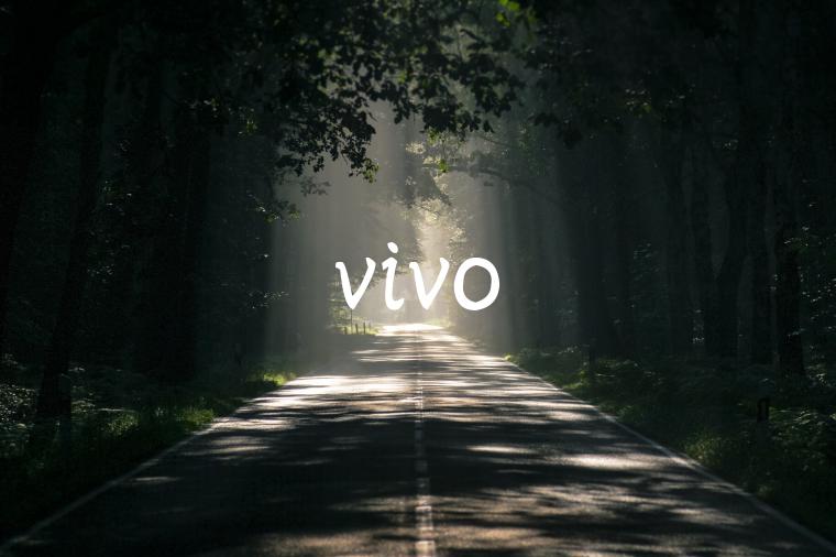 vivo