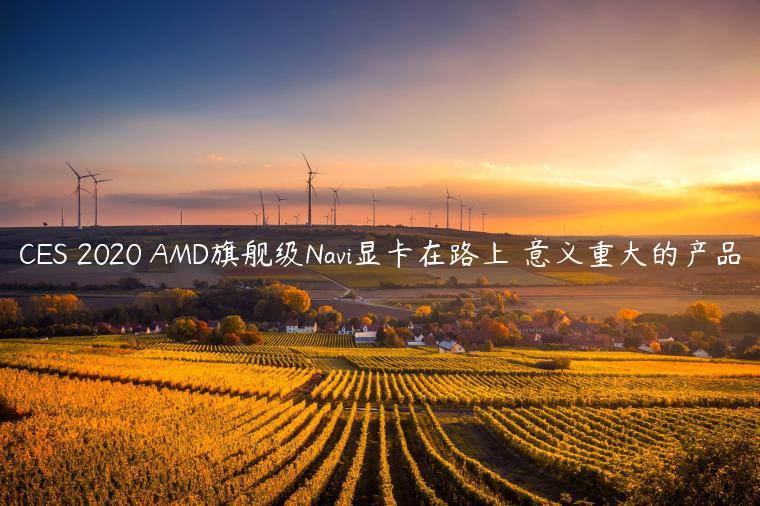 CES 2020 AMD旗舰级Navi显卡在路上 意义重大的产品