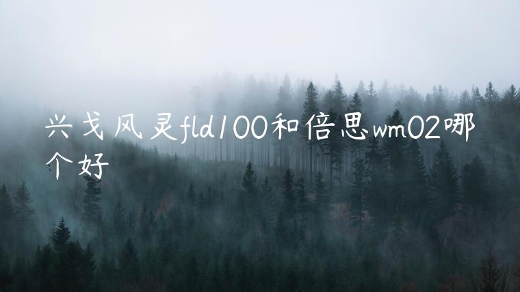 兴戈风灵fld100和倍思wm02哪个好