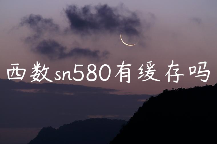 西数sn580有缓存吗