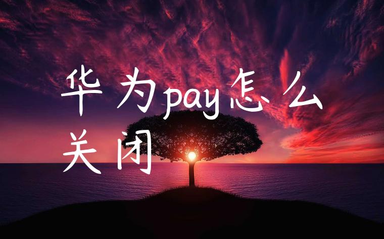 华为pay怎么关闭