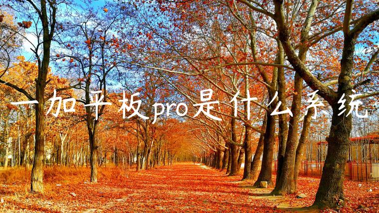 一加平板pro是什么系统