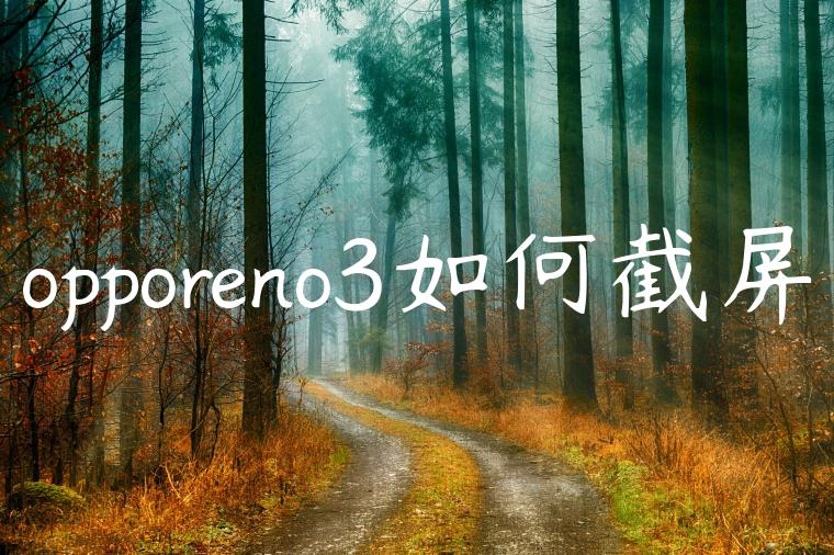 opporeno3如何截屏