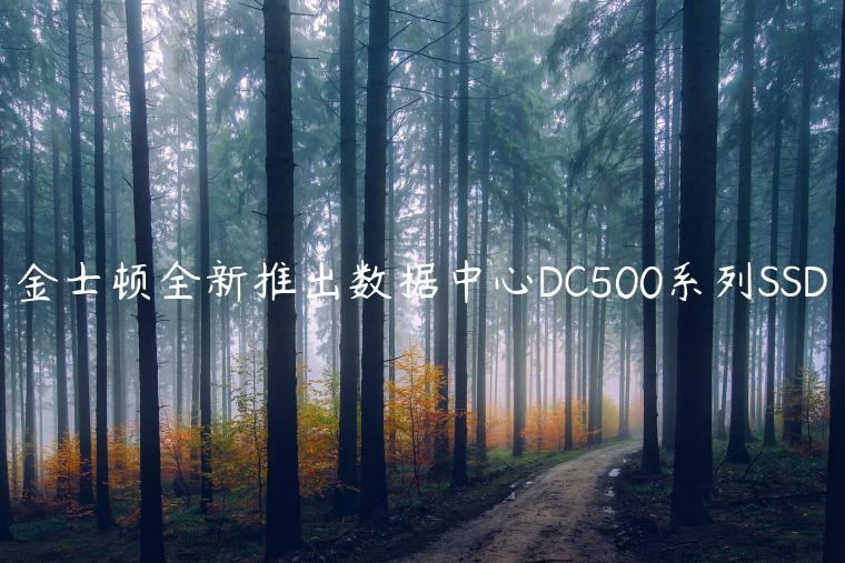 金士顿全新推出数据中心DC500系列SSD