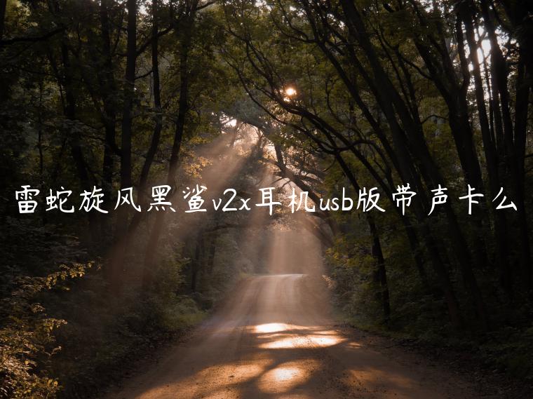 雷蛇旋风黑鲨v2x耳机usb版带声卡么