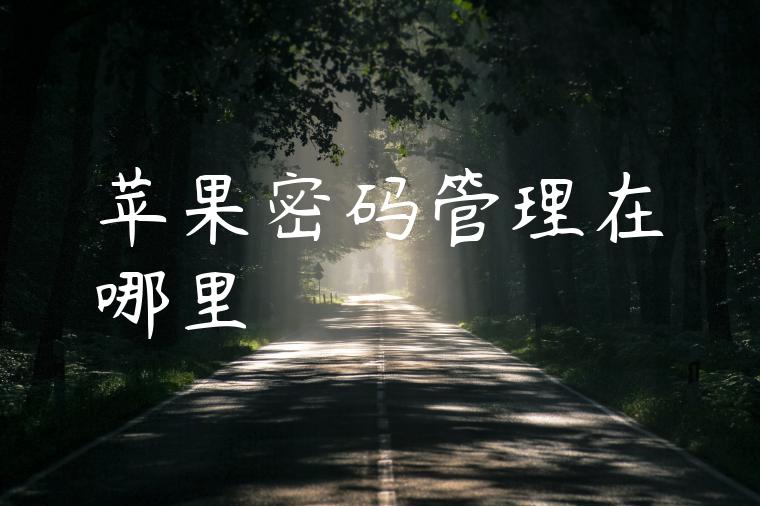 苹果密码管理在哪里