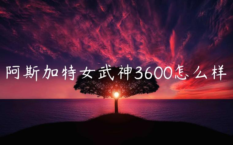 阿斯加特女武神3600怎么样