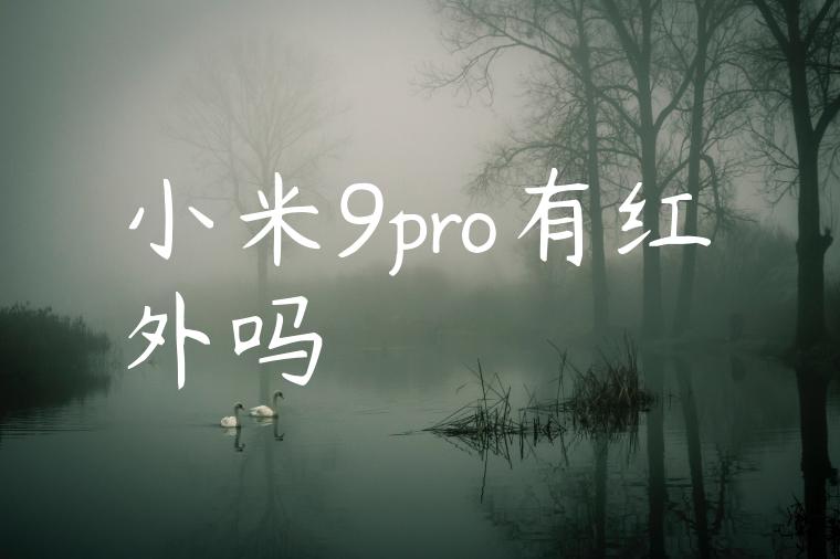 小米9pro有红外吗