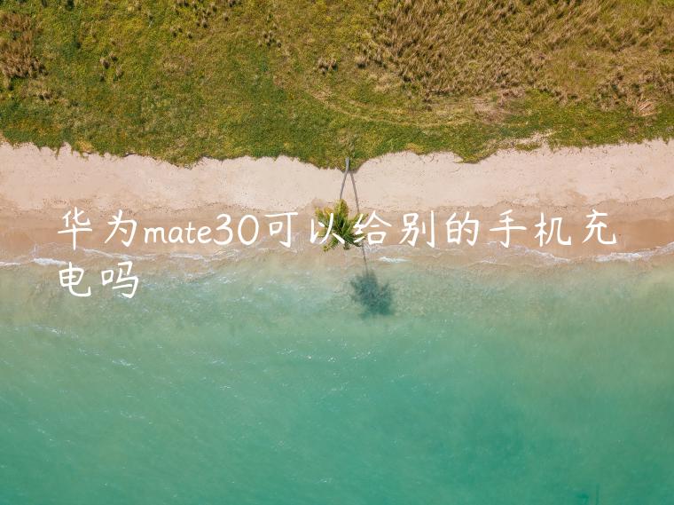 华为mate30可以给别的手机充电吗