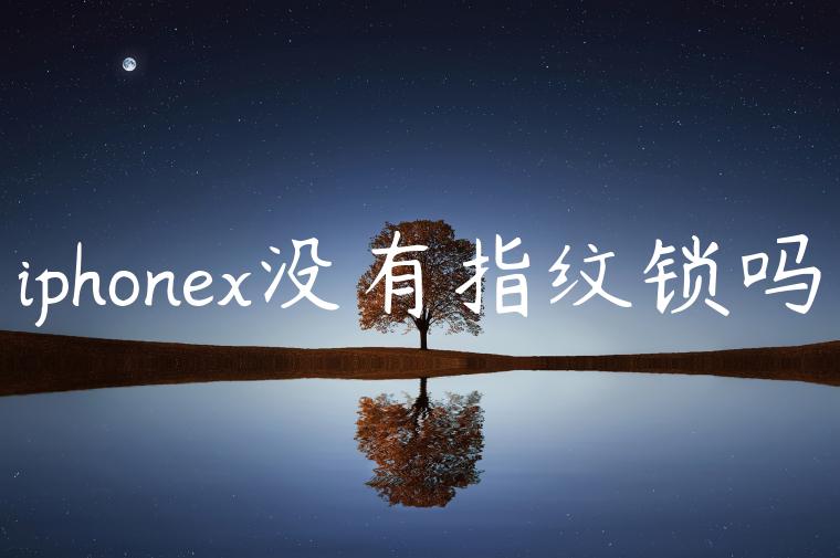 iphonex没有指纹锁吗