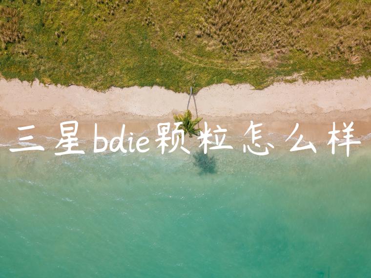 三星bdie颗粒怎么样