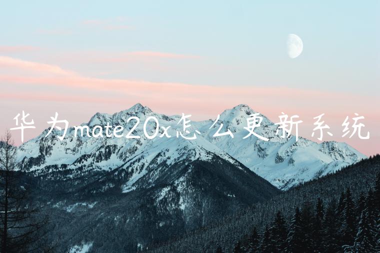 华为mate20x怎么更新系统