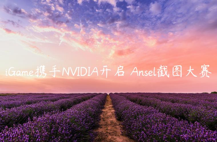 iGame携手NVIDIA开启 Ansel截图大赛