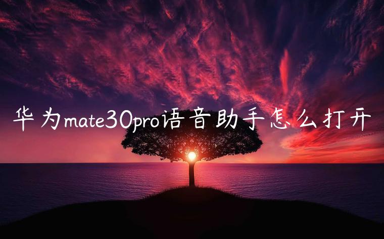 华为mate30pro语音助手怎么打开