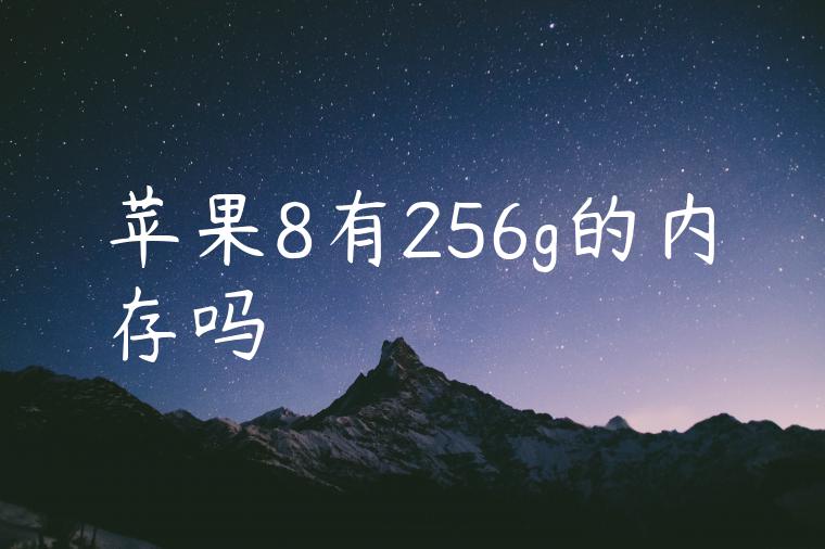 苹果8有256g的内存吗