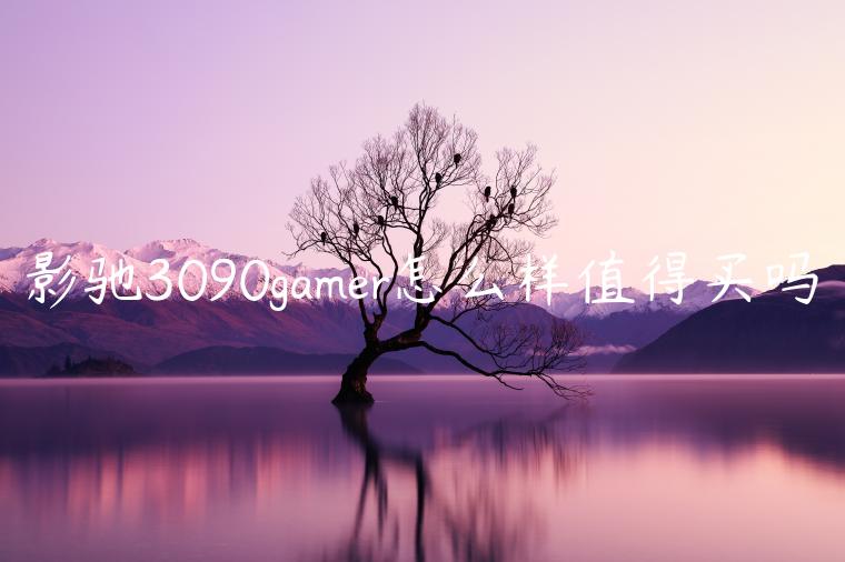 影驰3090gamer怎么样值得买吗