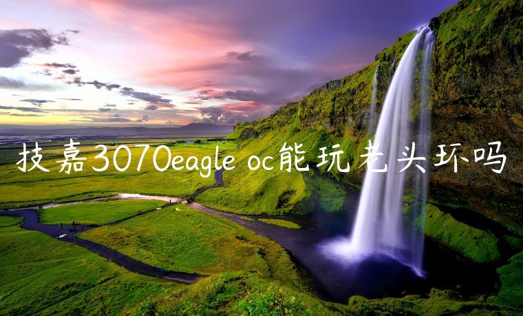 技嘉3070eagle oc能玩老头环吗