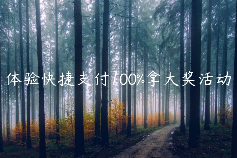 体验快捷支付100%拿大奖活动