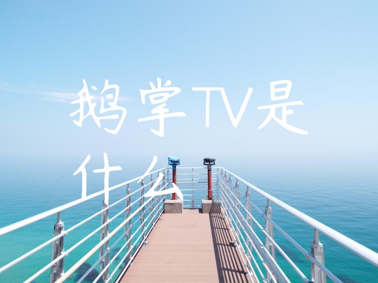 鹅掌TV是什么