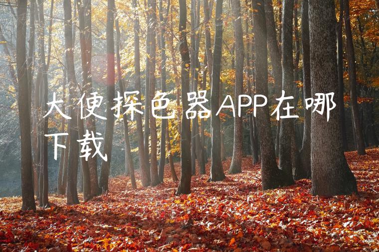 大便探色器APP在哪下载