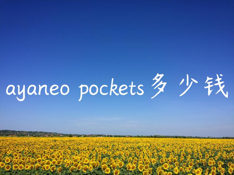 ayaneo pockets多少钱