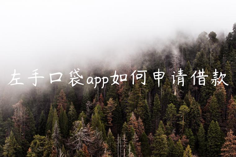 左手口袋app如何申请借款