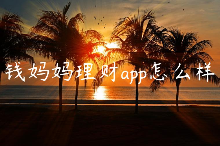 钱妈妈理财app怎么样