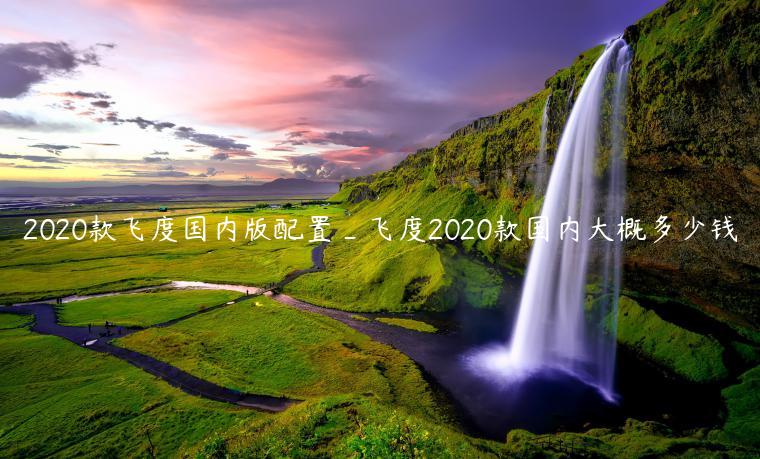 2020款飞度国内版配置_飞度2020款国内大概多少钱