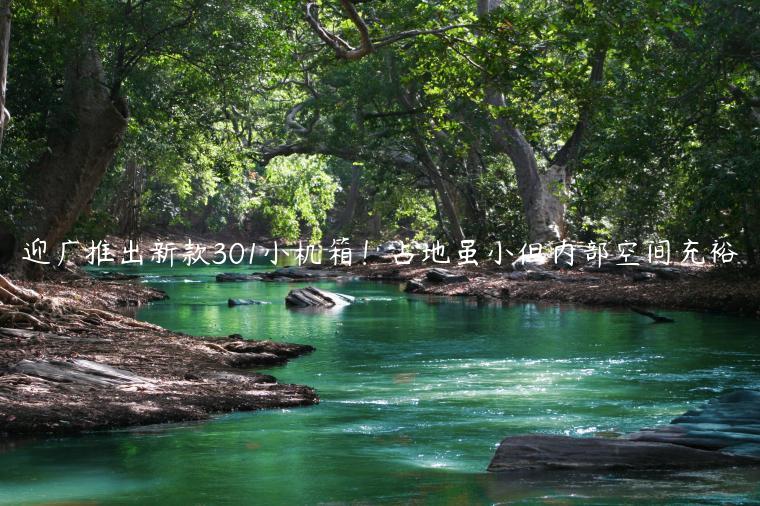 迎广推出新款301小机箱！占地虽小但内部空间充裕