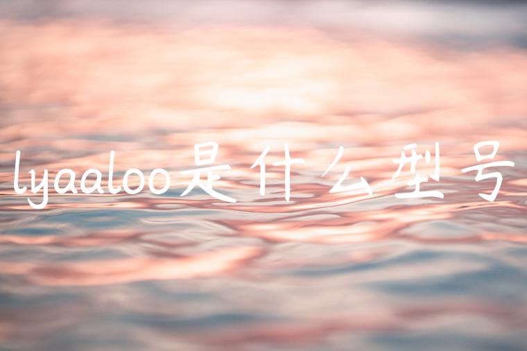 lyaaloo是什么型号