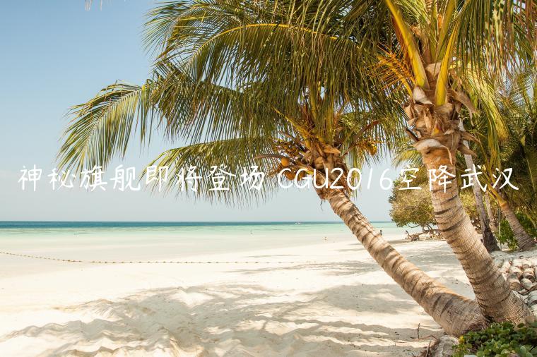 神秘旗舰即将登场 CGU2016空降武汉