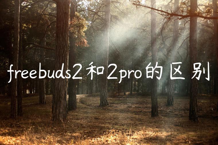 freebuds2和2pro的区别