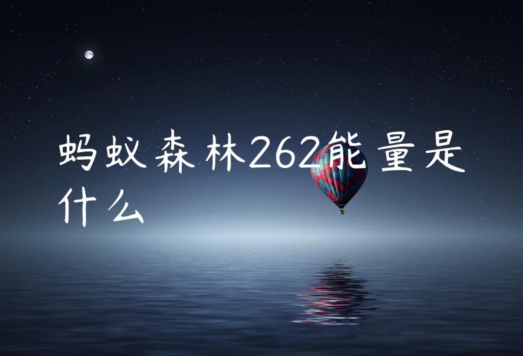 蚂蚁森林262能量是什么