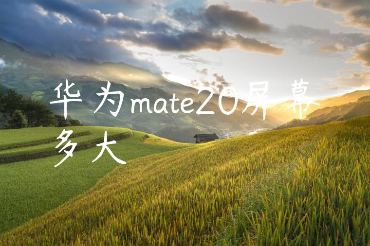 华为mate20屏幕多大