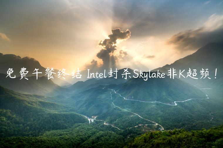 免费午餐终结 Intel封杀Skylake非K超频！