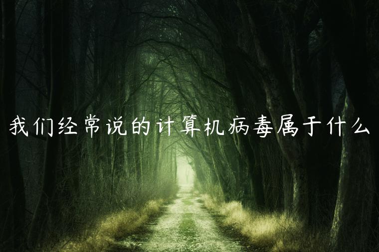 我们经常说的计算机病毒属于什么