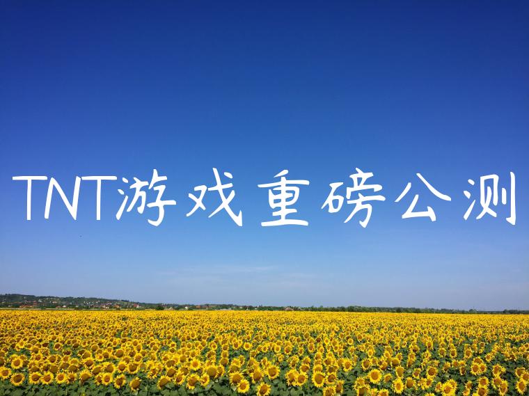 TNT游戏重磅公测