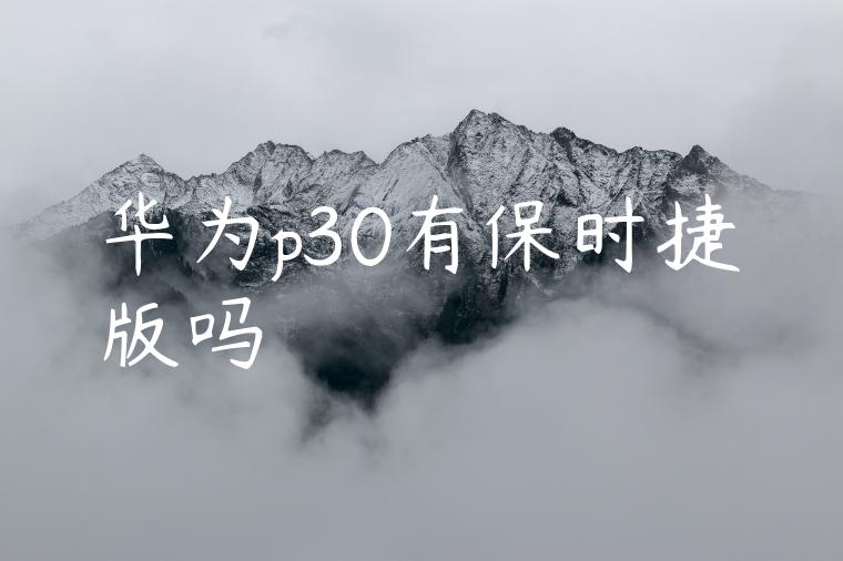 华为p30有保时捷版吗