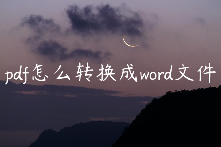 pdf怎么转换成word文件