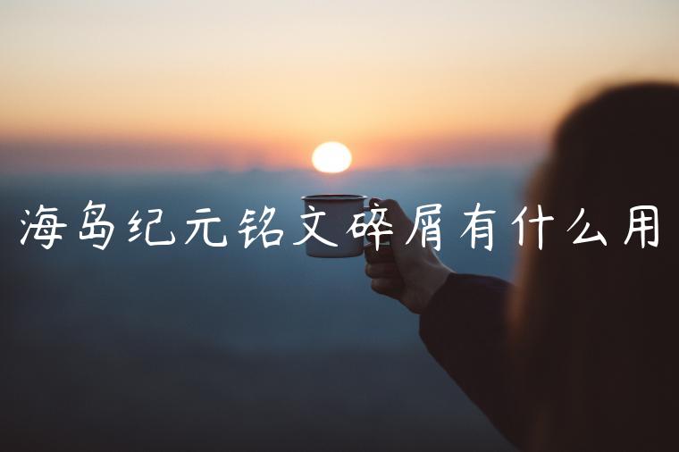 海岛纪元铭文碎屑有什么用