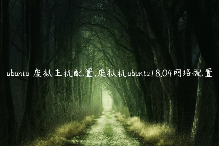 ubuntu 虚拟主机配置,虚拟机ubuntu18.04网络配置