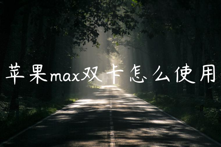 苹果max双卡怎么使用