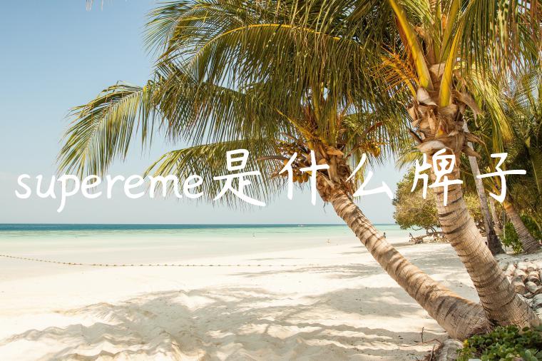 supereme是什么牌子